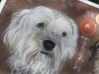 /album/galerie-photos/photo-1612-jpg/